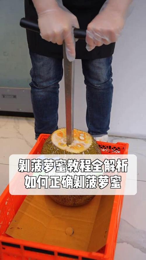 菠萝菠萝蜜手机在线观看 手机上如何安全在线观看菠萝蜜？版权与平台选择全解析