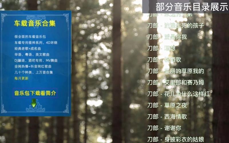 最近中文字幕MV在线高清 在线高清中文字幕MV：提升视听享受，深入理解音乐创意与情感