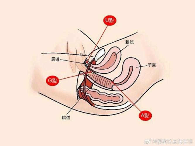 性过程_性过程_性过程