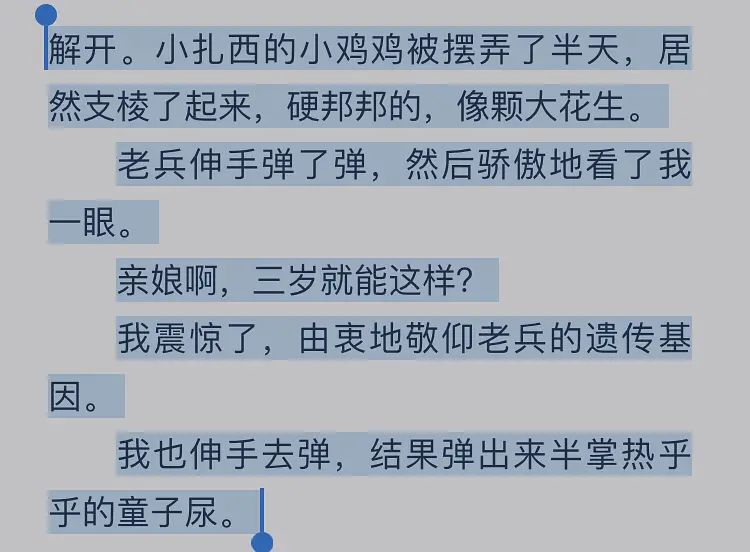 看黄专用软件探索与反思，看黄专用软件的兴起与影响-第1张图片