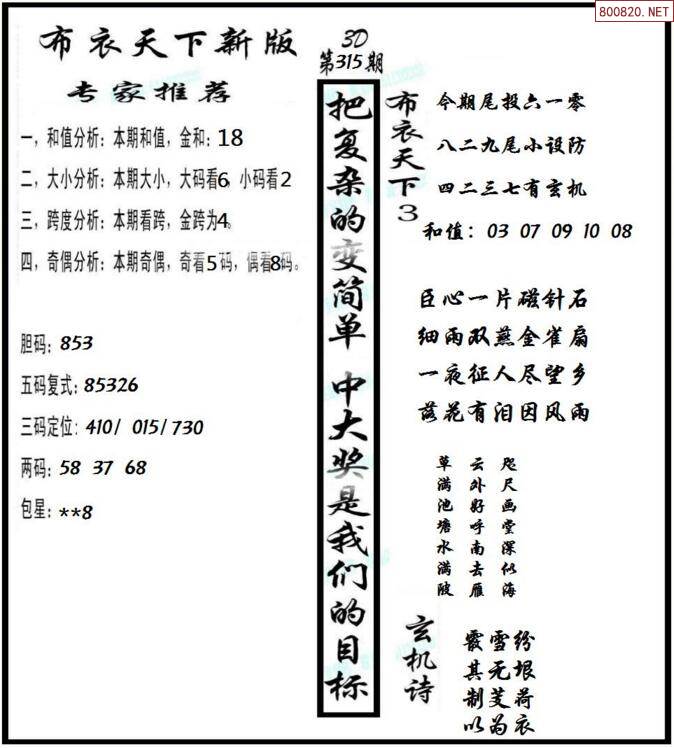 布衣天下精华1234今天预测专家布衣天下精华，解读今日市场趋势，专家预测1234-第2张图片