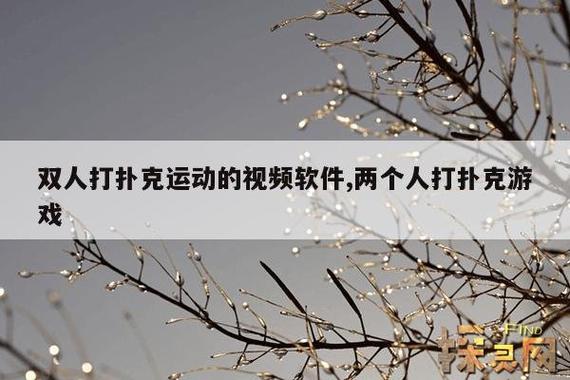 做剧烈运动打扑克视频APP 结合剧烈运动与扑克游戏的APP：创新娱乐方式与健康风险探讨