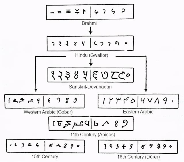 探索数字世界，碟片网的作用与价值