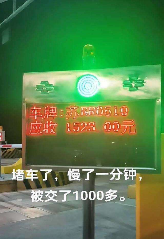 老司机在线免费观看视频老司机在线免费观看视频的探索之旅-第3张图片