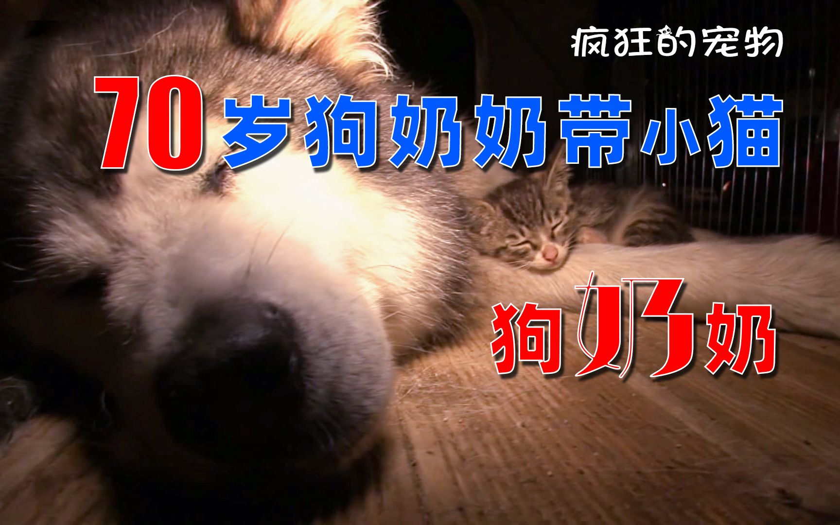 我睡过最大年纪70岁跨越年龄的界限——我与一位70岁长者的共眠经历