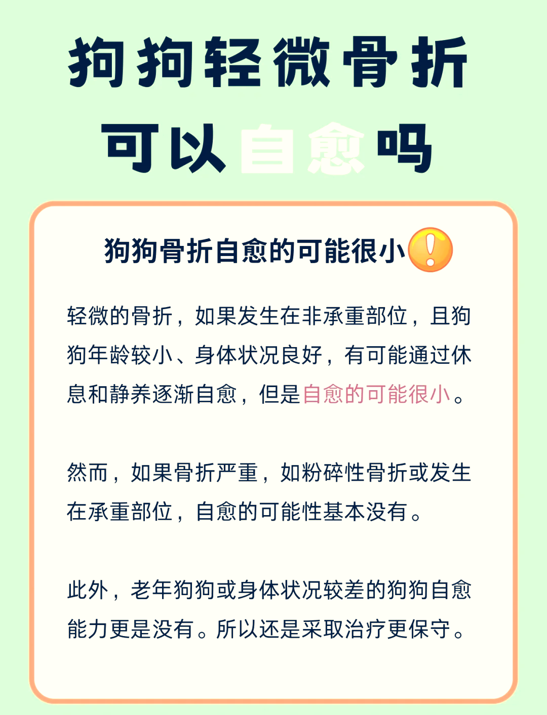 拆家的狗叫什么名字拆家之痛，家庭破裂的背后与应对策略-第3张图片