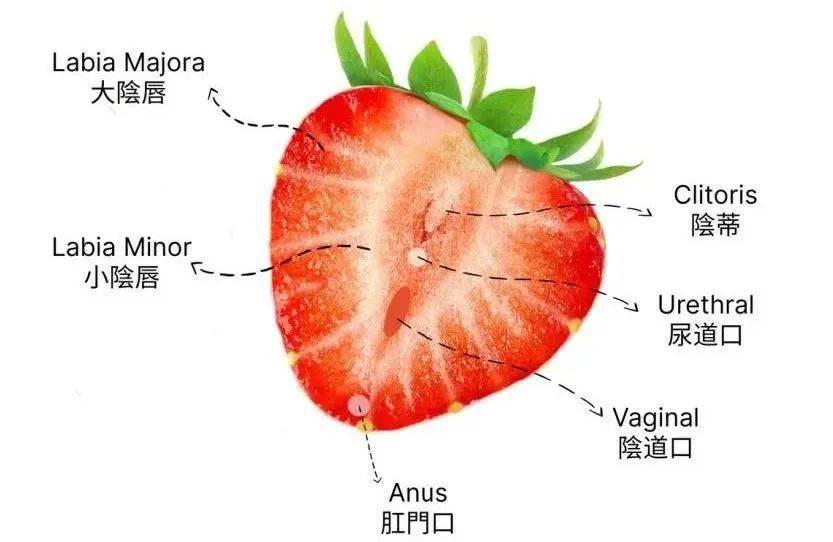 怎样自拍出高级的照片新手如何自慰至高潮——健康且负责任的性教育探讨-第2张图片