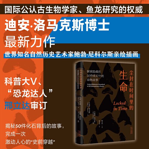 探索未知的深度——能否再深一点？-第1张图片