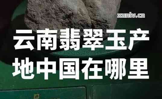 51精产国品一二三产区探索51精产国品一二三产区的多元发展与价值-第3张图片