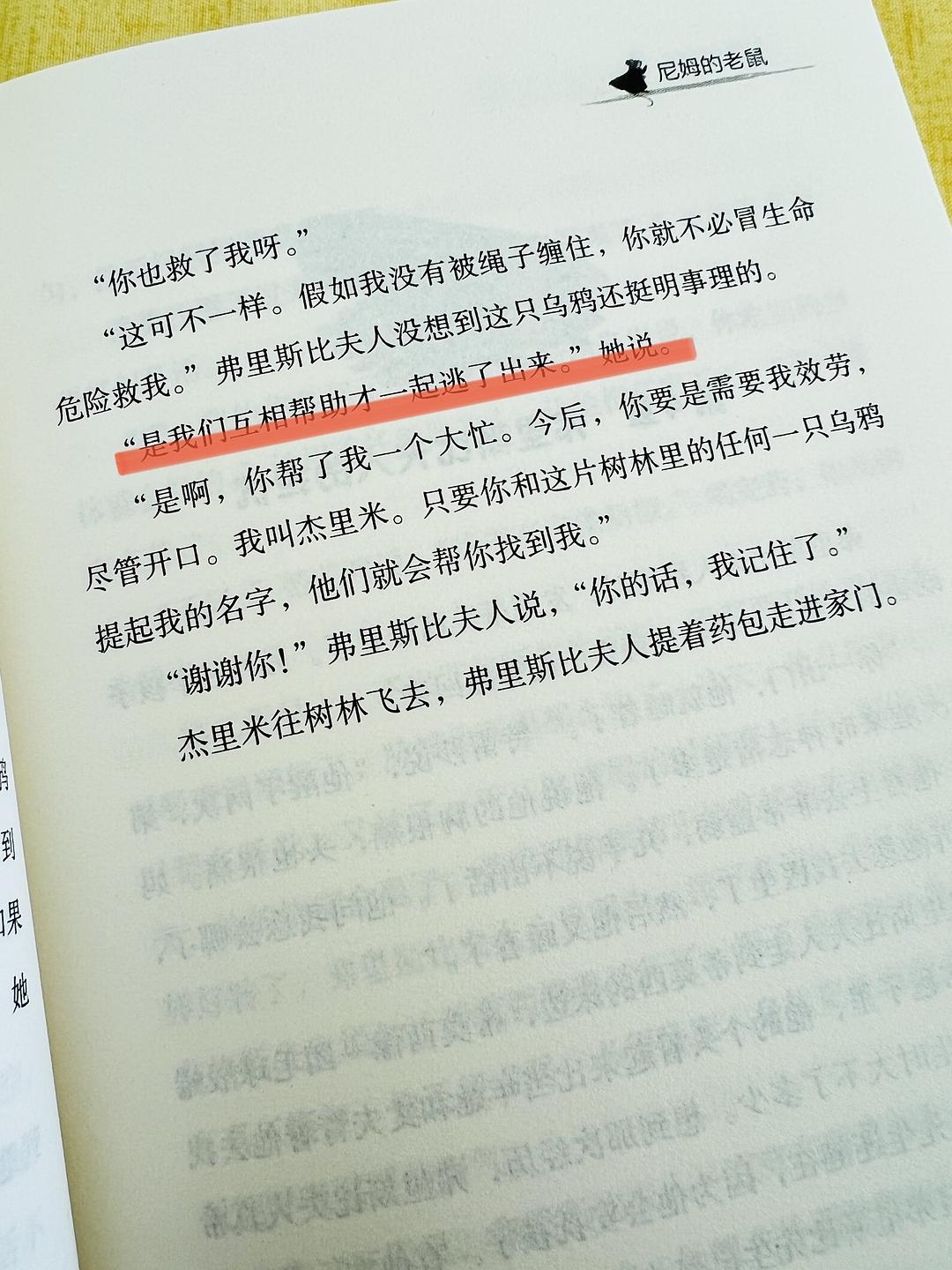 年轻的母亲的力量——从（3）的视角看母爱的伟大-第3张图片