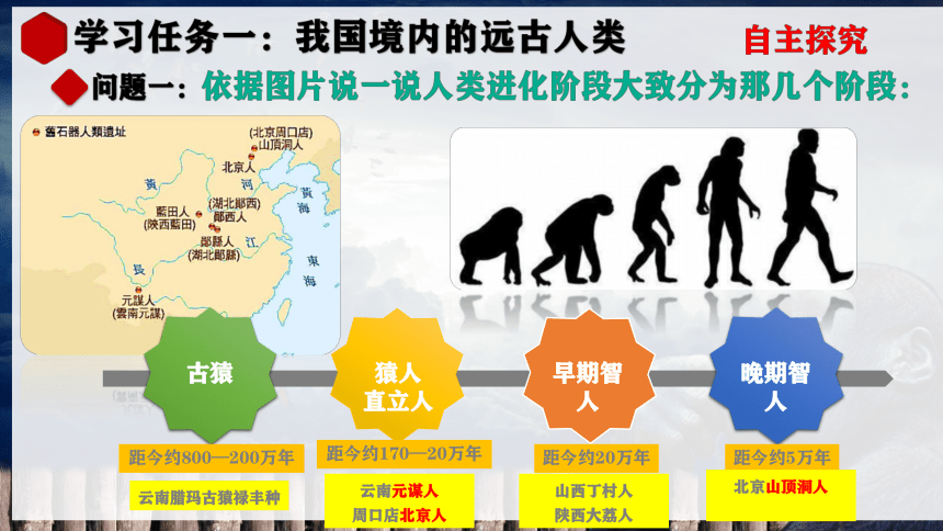 石器联萌，远古时代的智慧与现代生活的融合