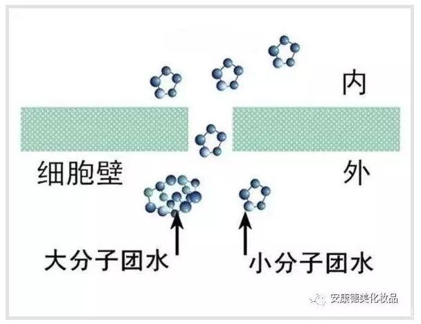 小东西几天没做水这么多小东西的微妙变化，几天未做竟发现水的积累如此之多-第3张图片