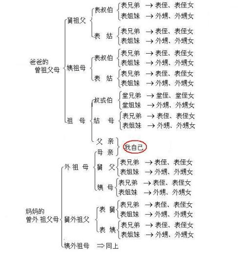 爸的大还是你老公的大关于爸的与老公的大小之比较-第2张图片