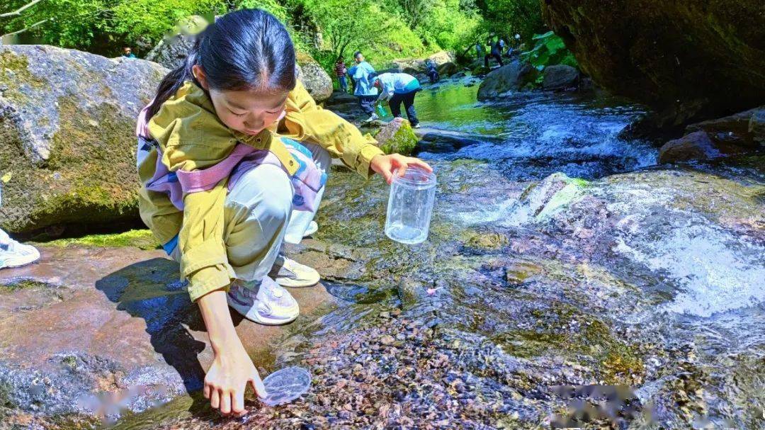 探索仙踪，亚洲卡一卡二乱码新区下载指南