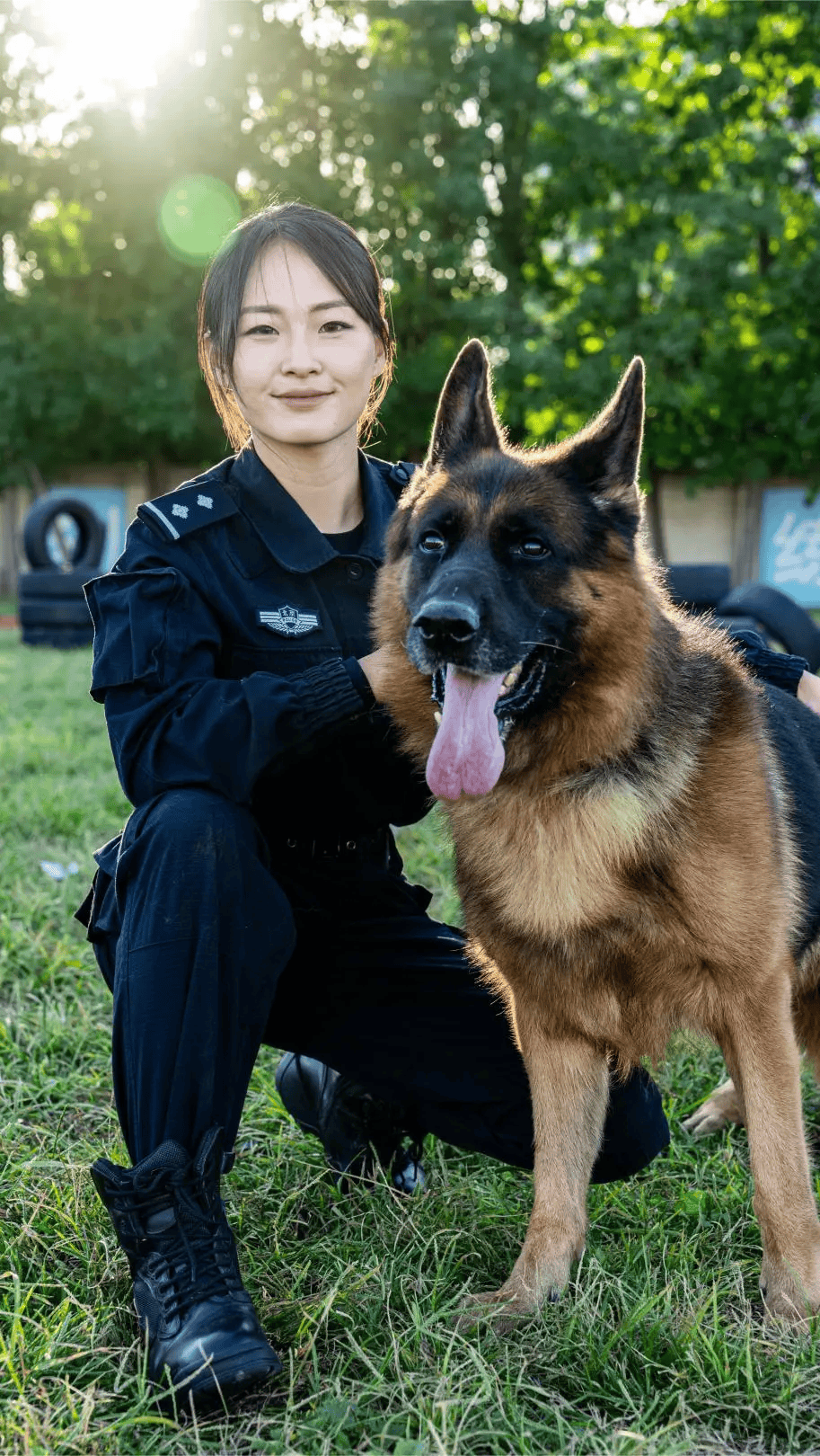 萌犬变变变萌犬变变变，从宠物到家庭一员的奇妙旅程-第2张图片