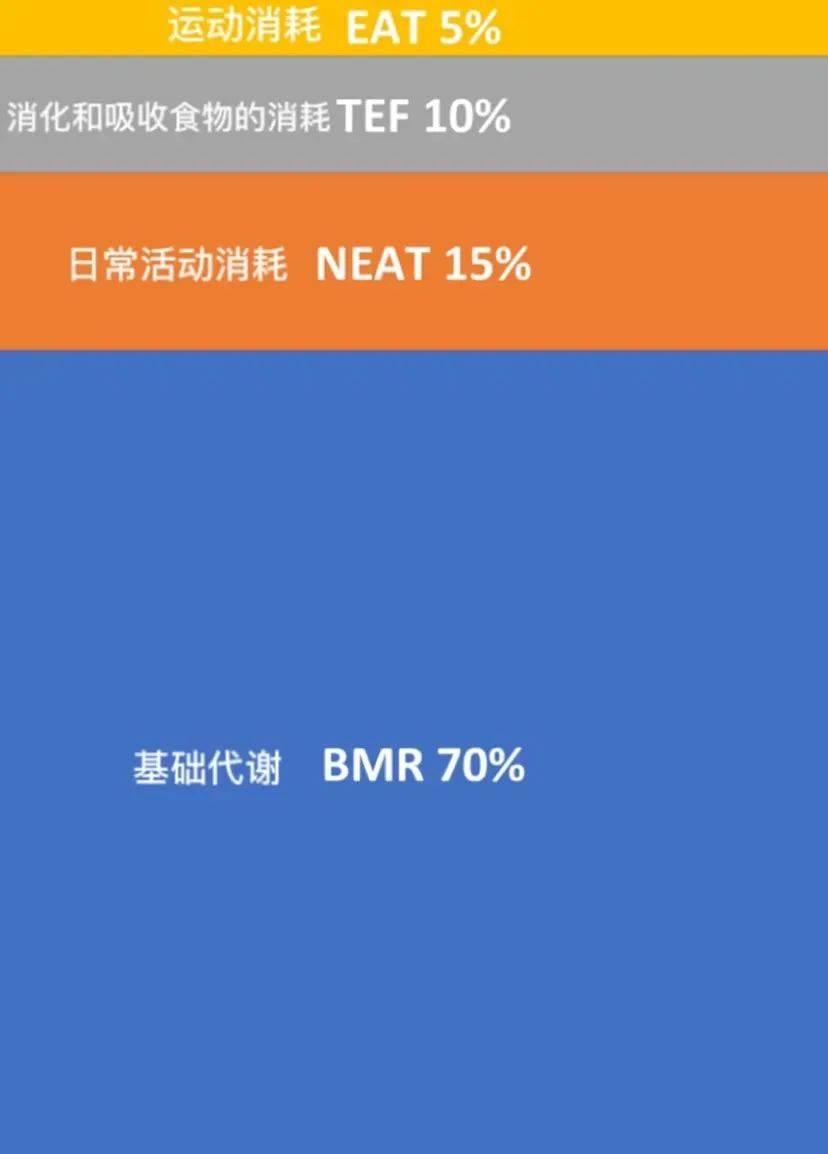 多人运动是什么意思污多人运动——误解与正解-第2张图片