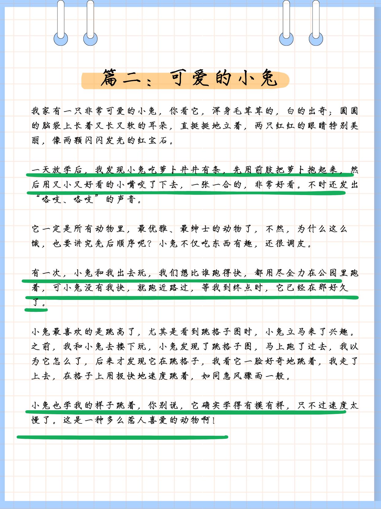 老师的小兔子好软真好吃作文老师的小兔子，柔软的触感与美味之体验