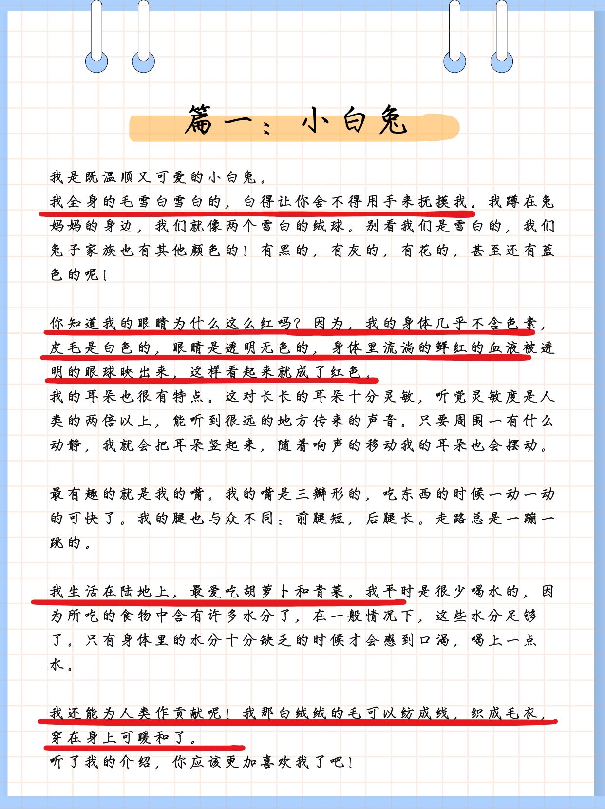 老师的小兔子好软真好吃作文老师的小兔子，柔软的触感与美味之体验-第3张图片