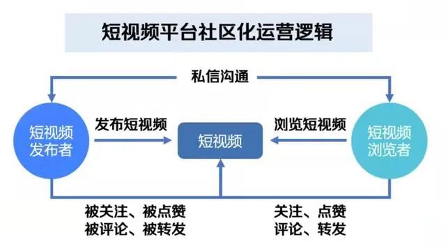 31561422直播视频探索3视频直播房间的魅力与潜力