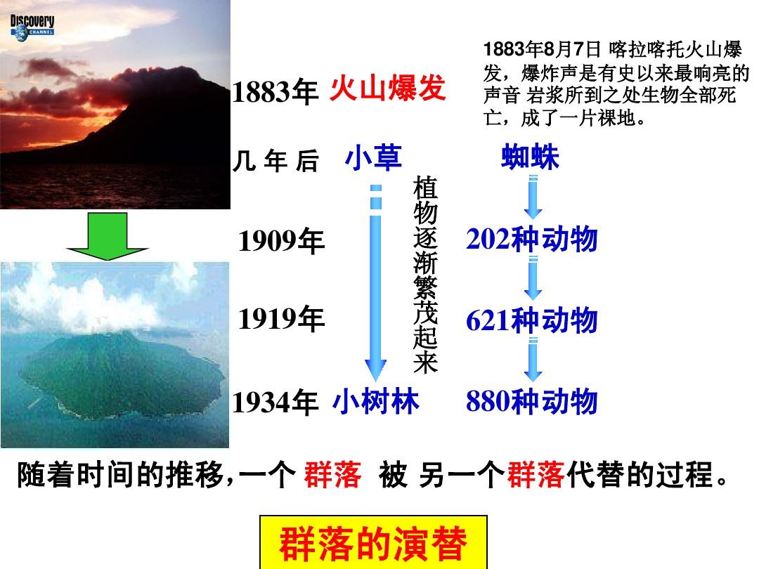 小草cc的词语小草CC的成长之旅