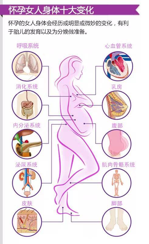 老师的乳房老师与乳房的微妙关系-第2张图片