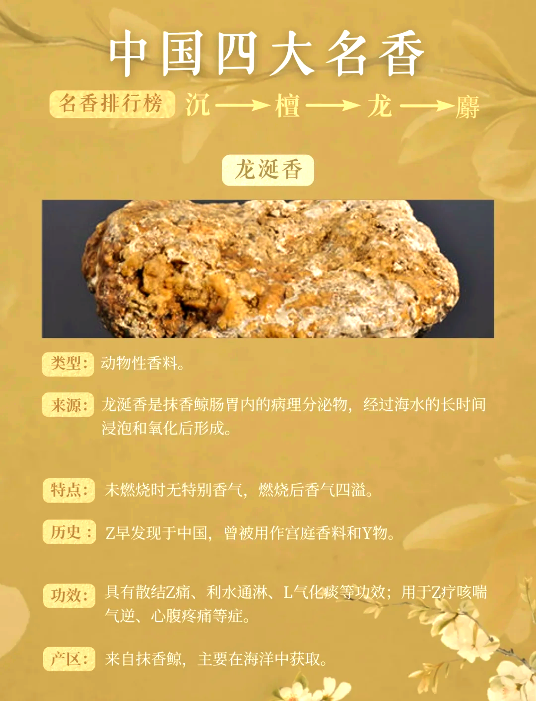 龙涎香，来自哪种海洋生物的珍稀瑰宝