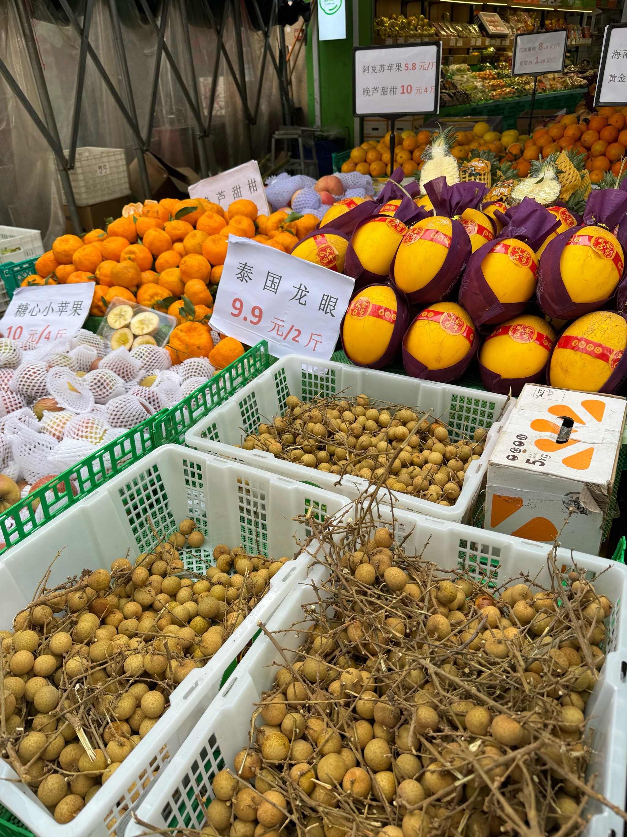 菠萝蜜国际入口的探索与体验