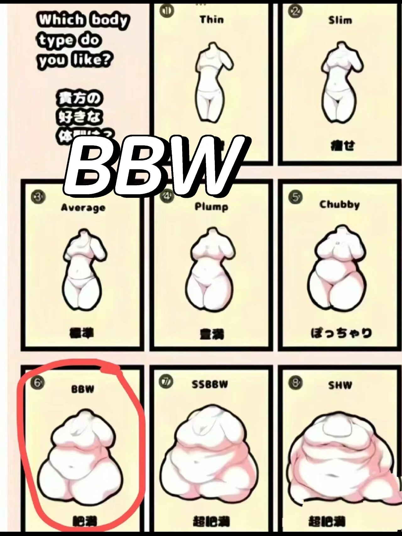 丰满BBWBBWBBWBBWBBWBBW丰满BBW的魅力与独特之处-第2张图片