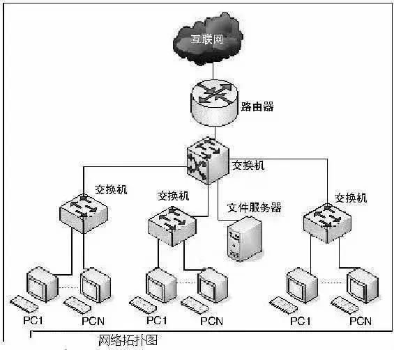 热门网热门网络现象的深度解析