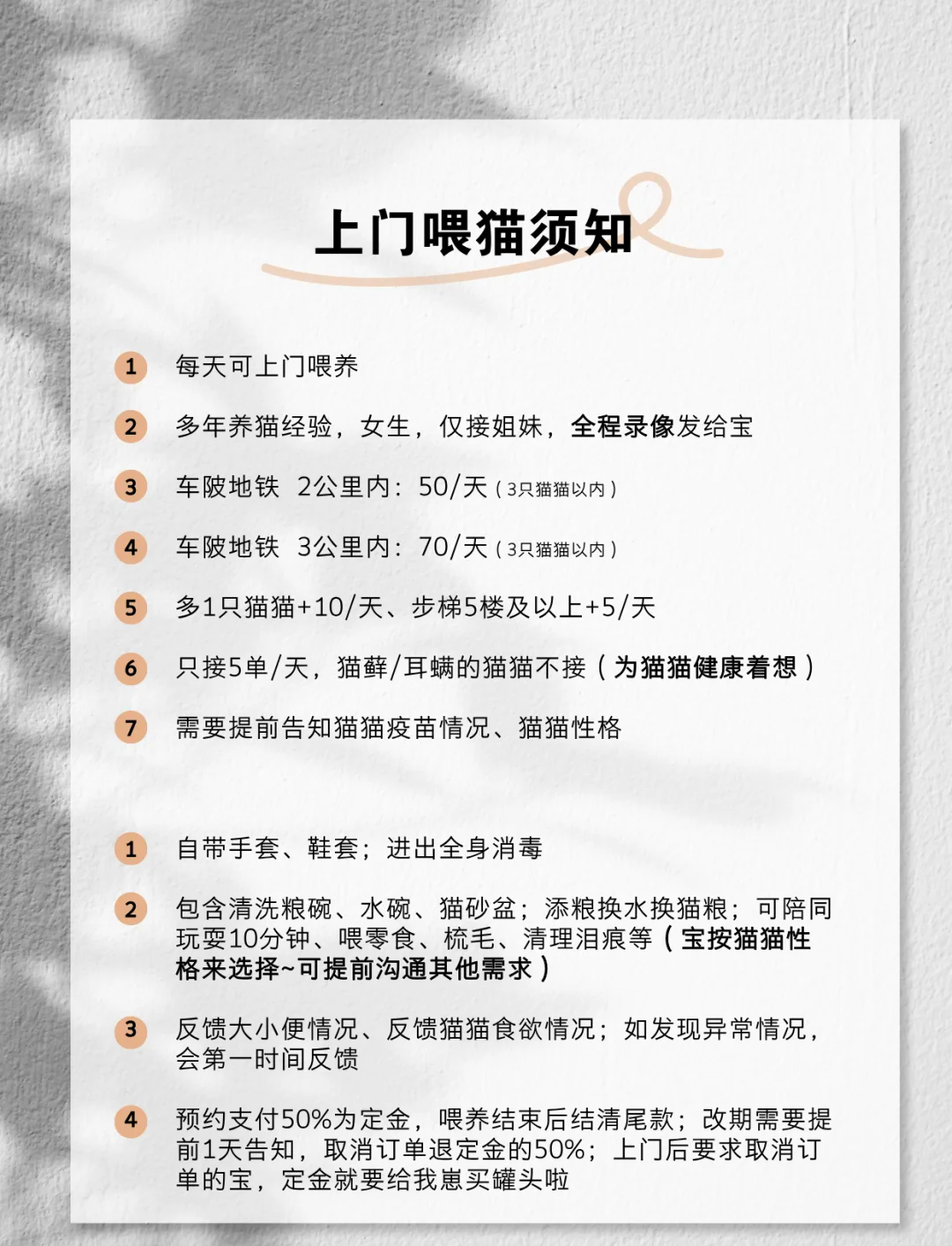 猫咪社区app官网点击查看原因探索猫咪的乐园——猫咪社区app官网入口进入