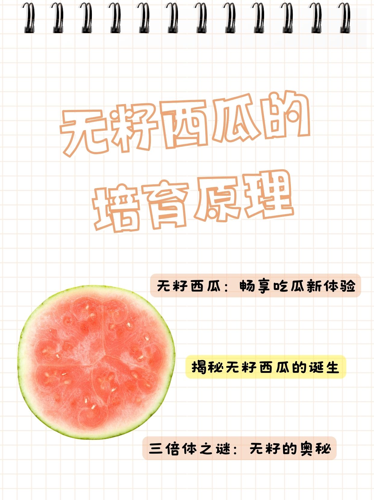 反差婊吃瓜黑料网站19反差婊现象的背后，网络黑料与吃瓜心理的深度探讨