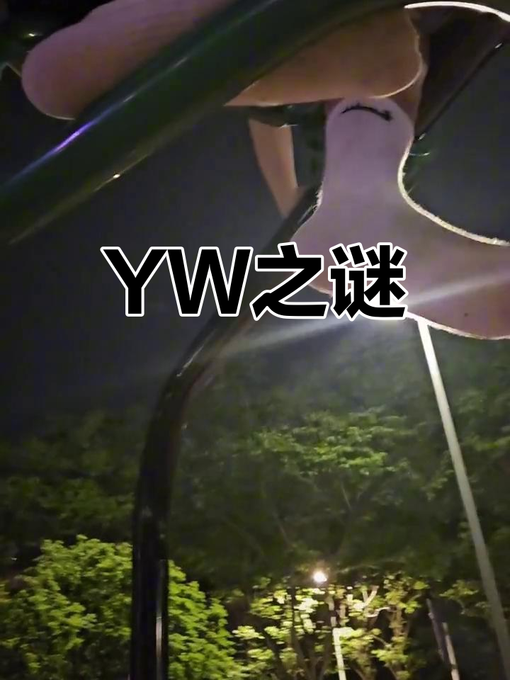 YW.8827，龙物视频的永恒连接