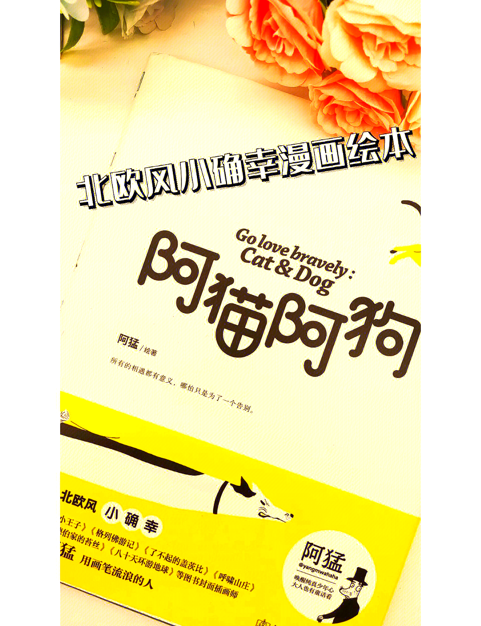 阿猫阿狗2下载阿猫阿狗2下载，游戏体验与乐趣探索