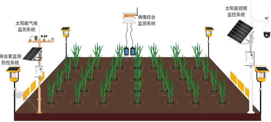 优质JY灌溉系统，农业现代化的关键技术-第3张图片