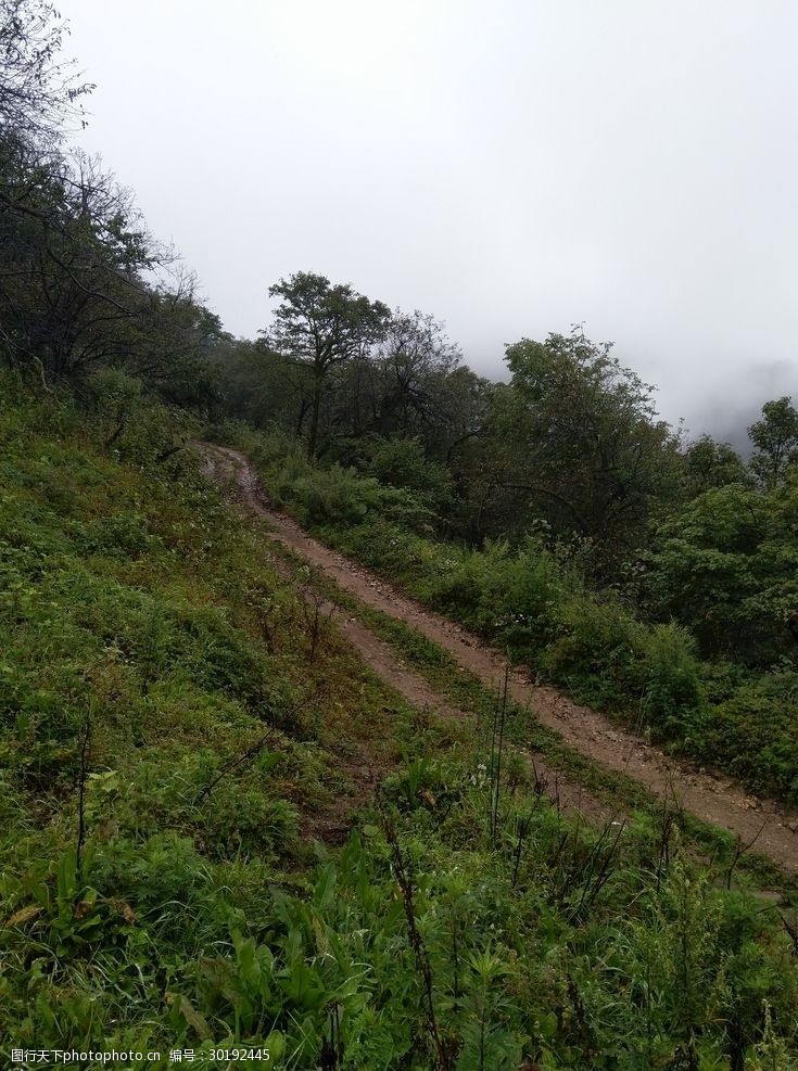 大山里的欲生活大山里的欲生活