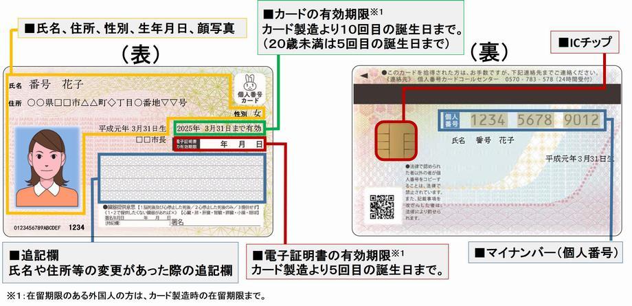 探索日本卡系列视频，卡2至卡5的精品世界-第3张图片