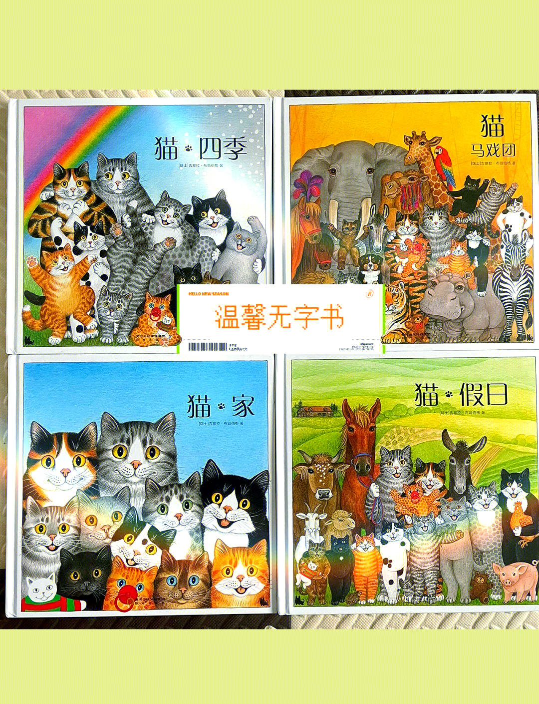 猫咪社区视频在线观看免费完整版——探索猫咪的魅力与乐趣-第3张图片