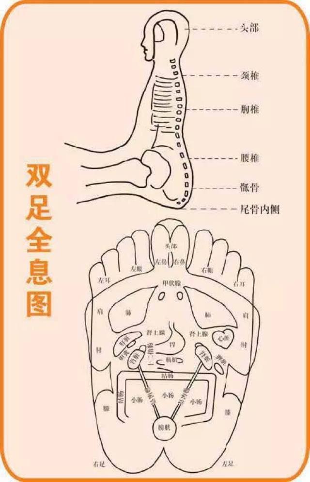 大胆 人体大胆探索，人体奥秘的无限可能性-第2张图片