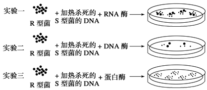 探索5c5cc的奥秘-第2张图片