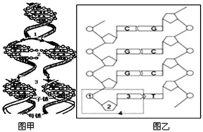 探索5c5cc的奥秘-第3张图片