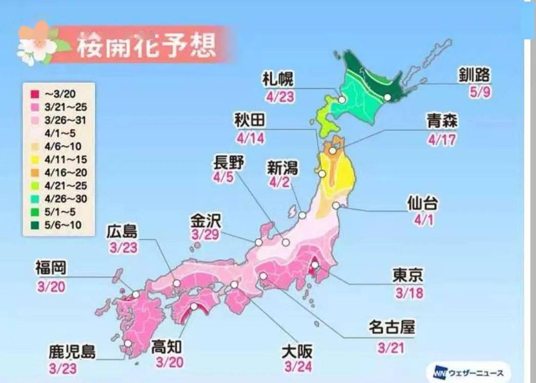 日本免费网站2021年能用的软件日本免费网站2021年使用指南