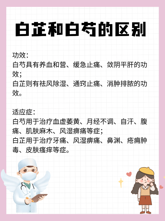 小东西你喷的到处都是白芷小东西的白芷之舞——无处不在的奇妙喷洒-第1张图片