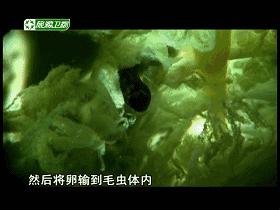 探索91最新在线视频的多样世界-第3张图片