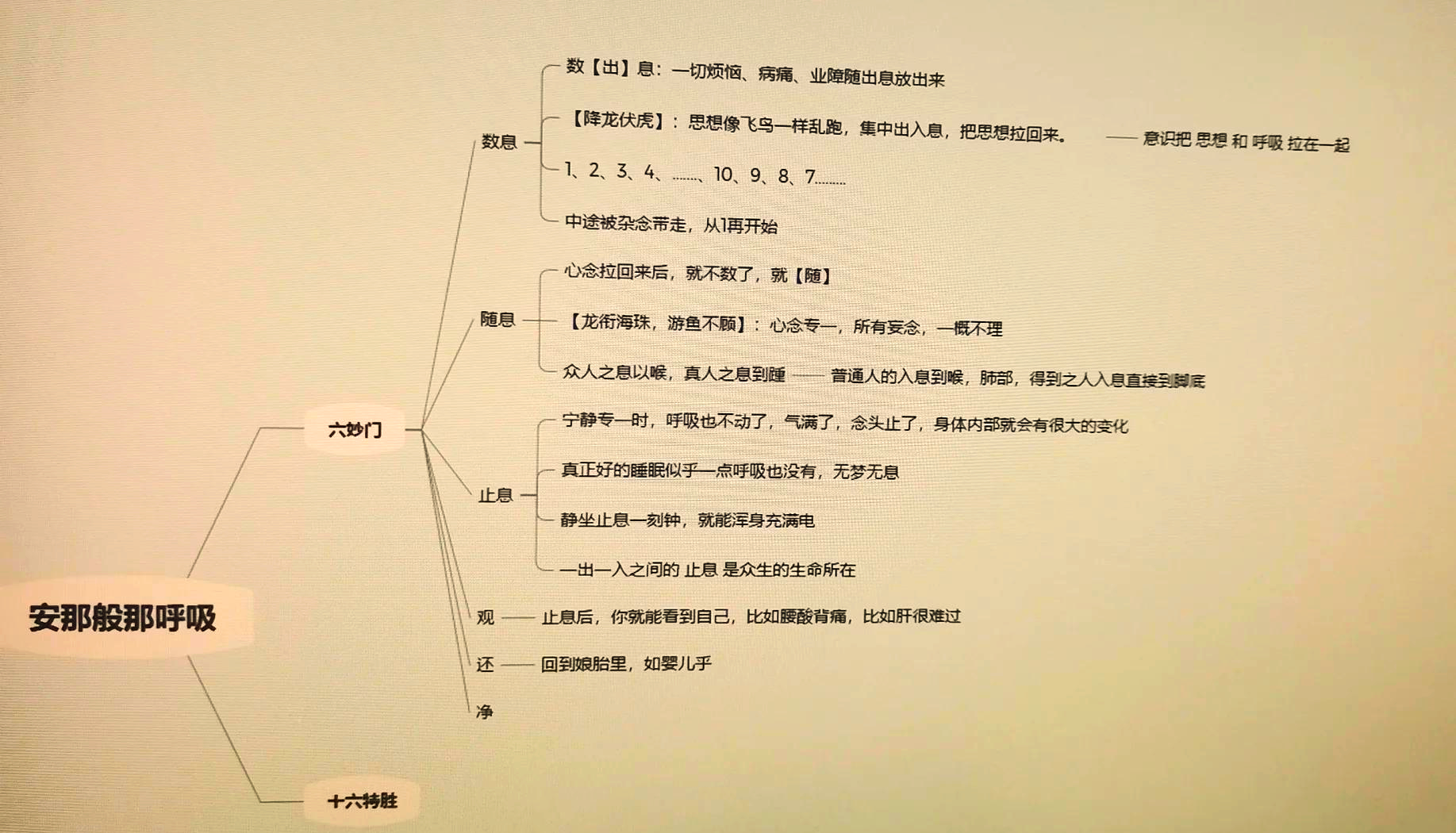 门派打坐时间门派打坐，传统修行中的静心之法-第2张图片