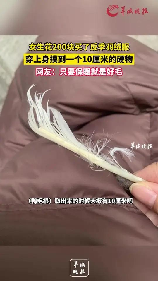 硬物之谜，触摸边缘的探索