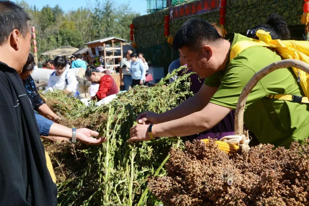 乡村大战老妇乡村大战老妇，传统与力量的较量-第2张图片