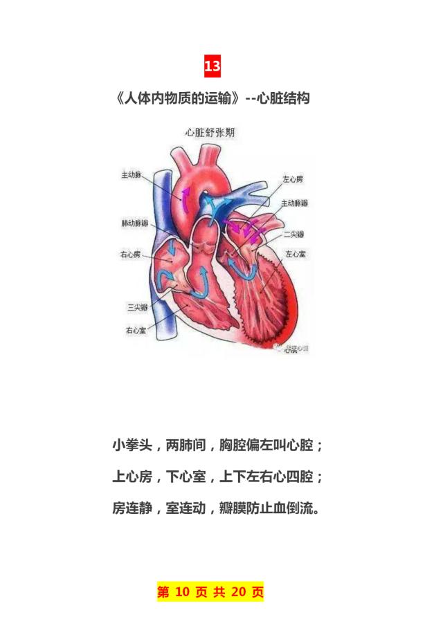 闵儿生物课在线观看免费生物课堂上的生动一课——记生物老师闵儿亲授-第2张图片