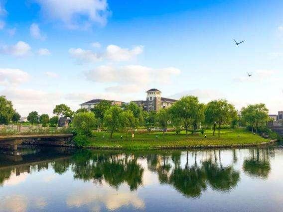 浙江农林大学夏婧茹真人长相浙江农林大学夏婧茹事件始末