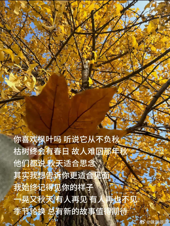 伊人久色伊人久色，时光流转中的美丽印记-第3张图片