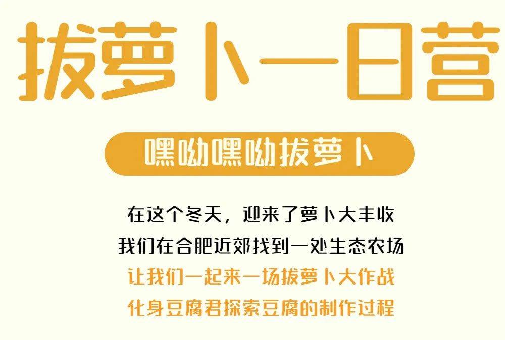 拔萝卜的乐趣与挑战，全程不盖被子拔萝卜的体验-第2张图片